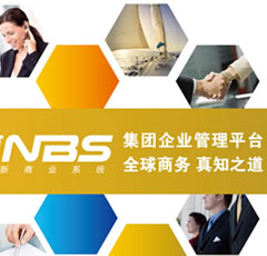 集团企业管理-NBS