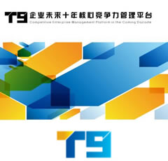 大型企业管理-T9